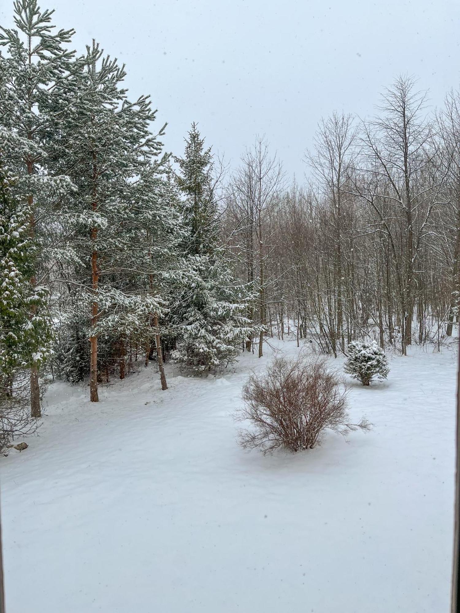 Slnecny 2-Izbovy Apartman Pod Lesom, Dolny Smokovec Vysoké Tatry Kültér fotó